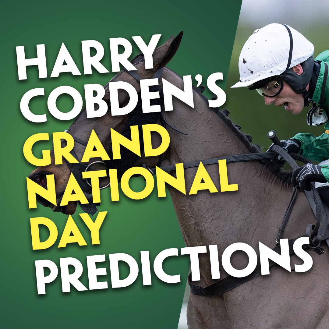 "THAT COULD BE THE VALUE!" | Harry Cobden's Grand National Predictions | Perceval Legallois