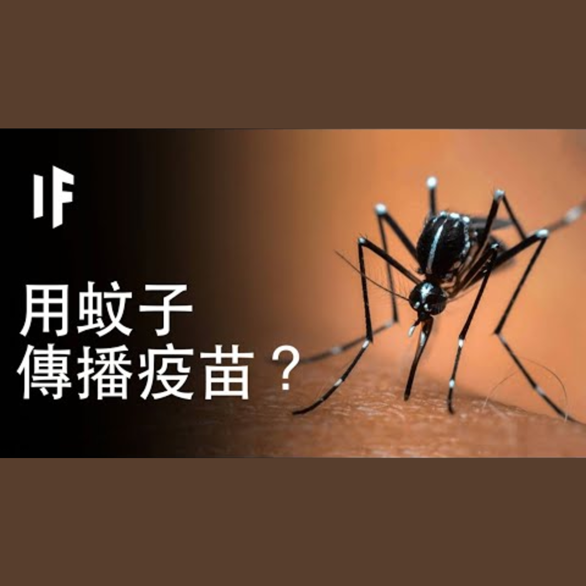 如果蚊子會傳播疫苗？｜大膽科學 episode artwork