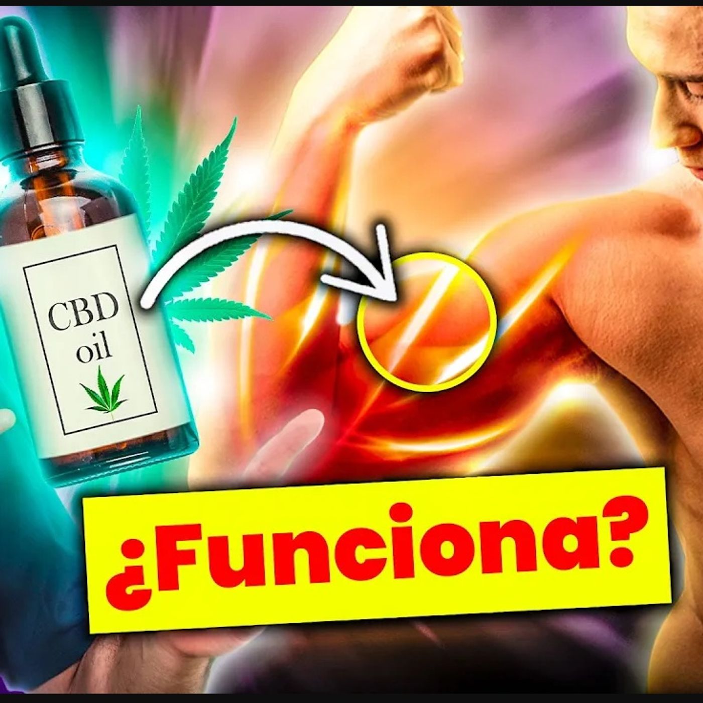 Portada de Dr. Borja Bandera