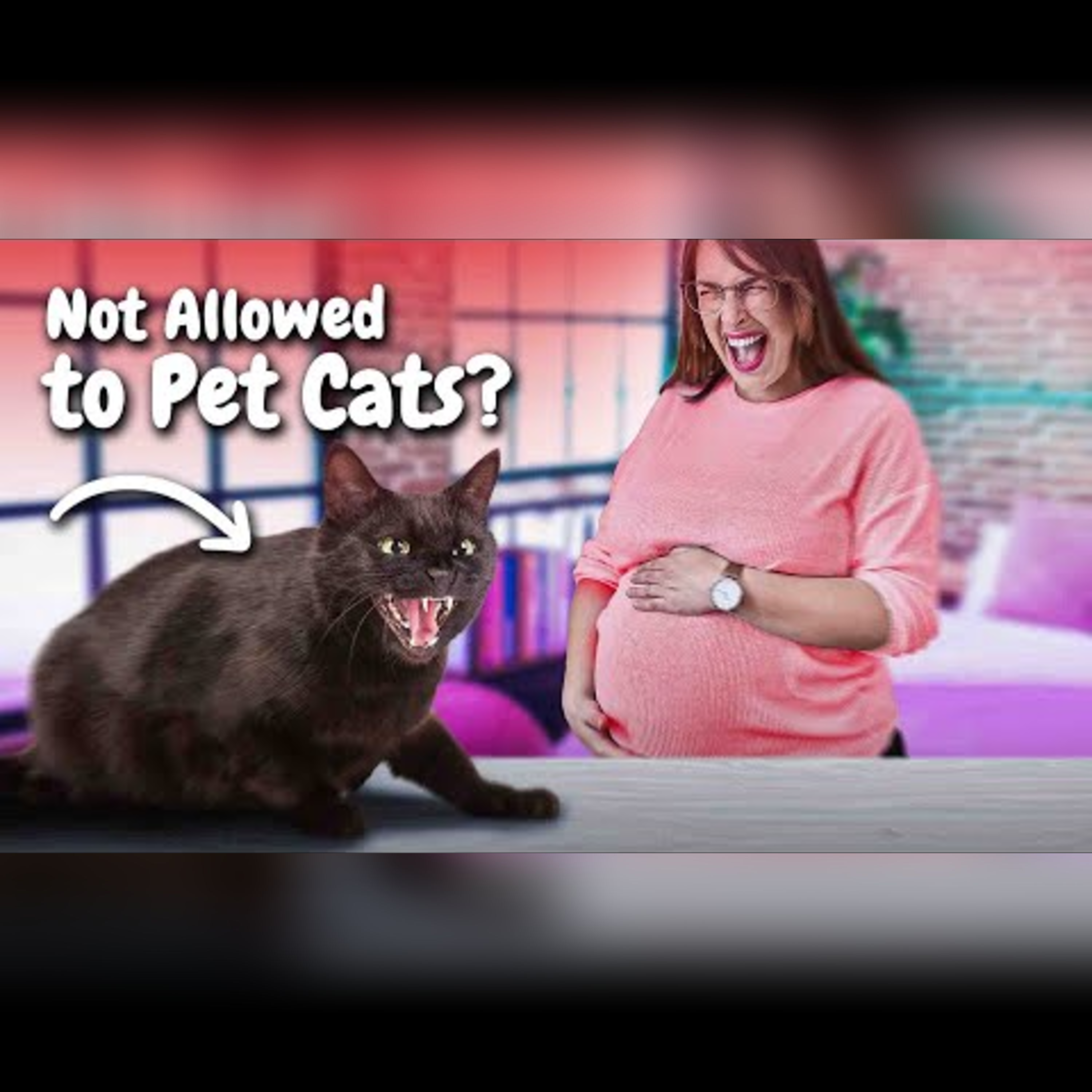 Debunking the Top Pregnancy Myths episode artwork