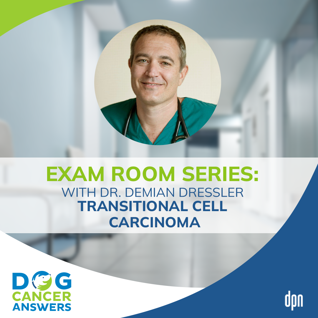 Exam Room Series: Transitional Cell Carcinoma │ Dr. Demian Dressler #83