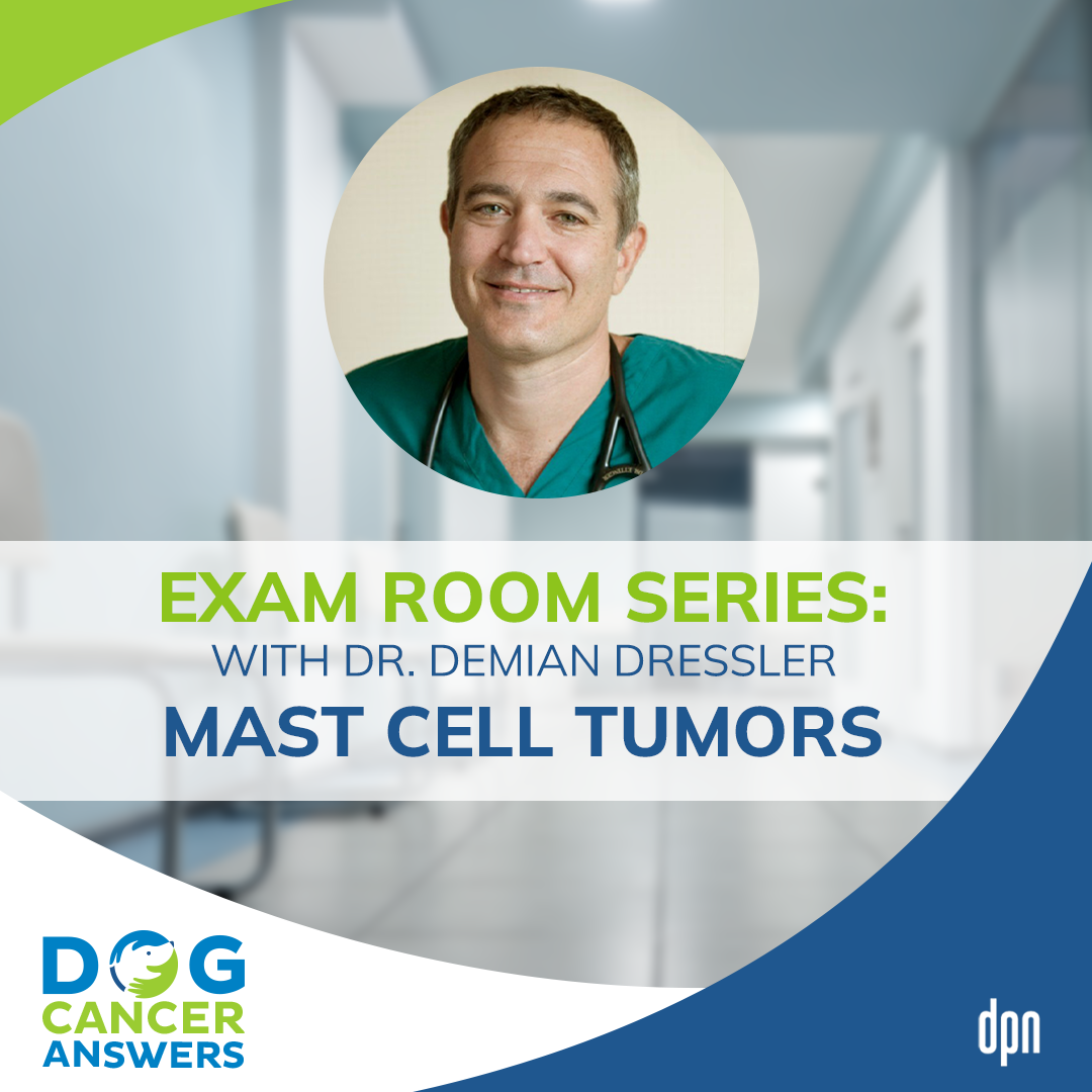 Exam Room Series: Mast Cell Tumors │ Dr. Demian Dressler #79