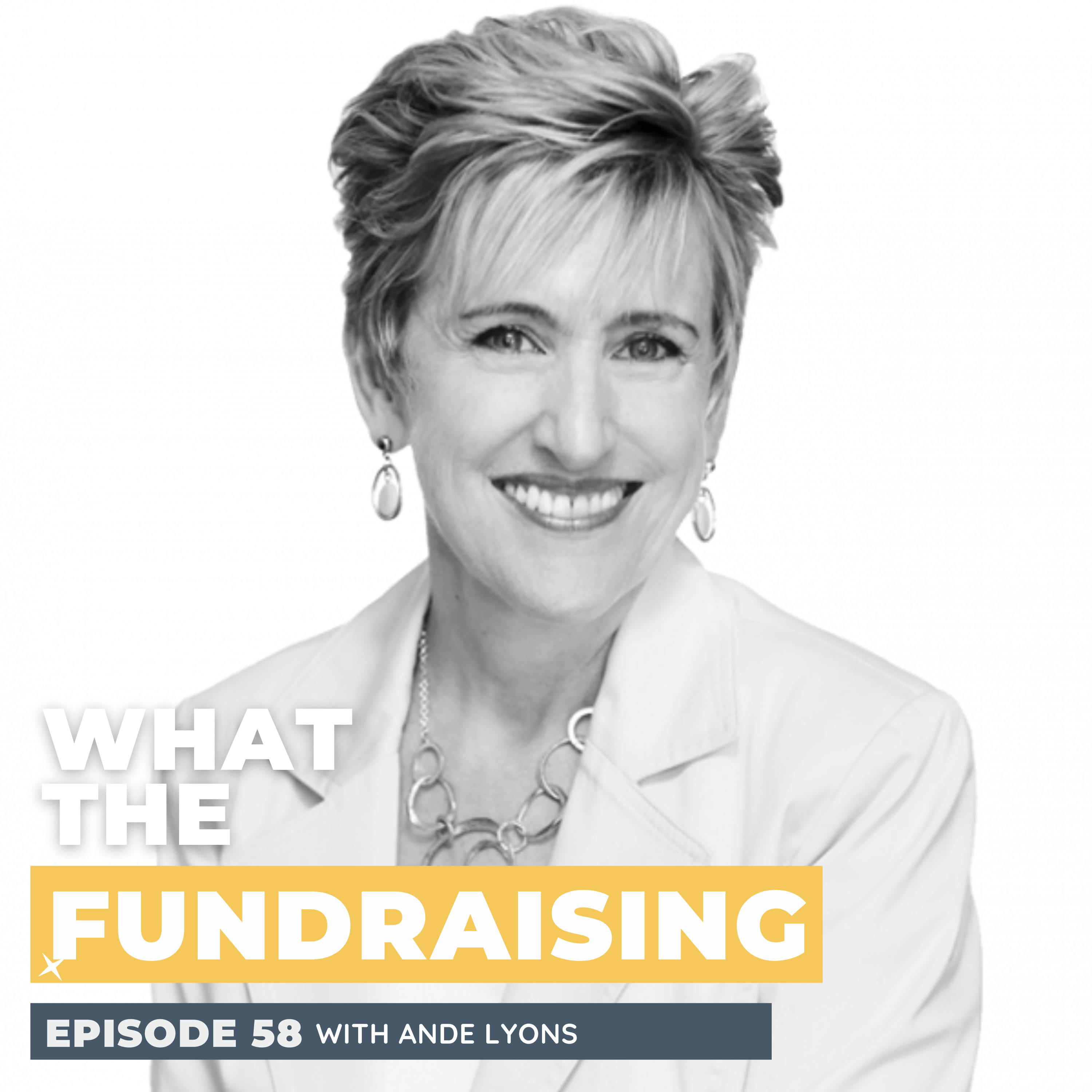 58. What Nonprofit Leaders Can Learn From Startup Success and Failure with Ande Lyons episode artwork