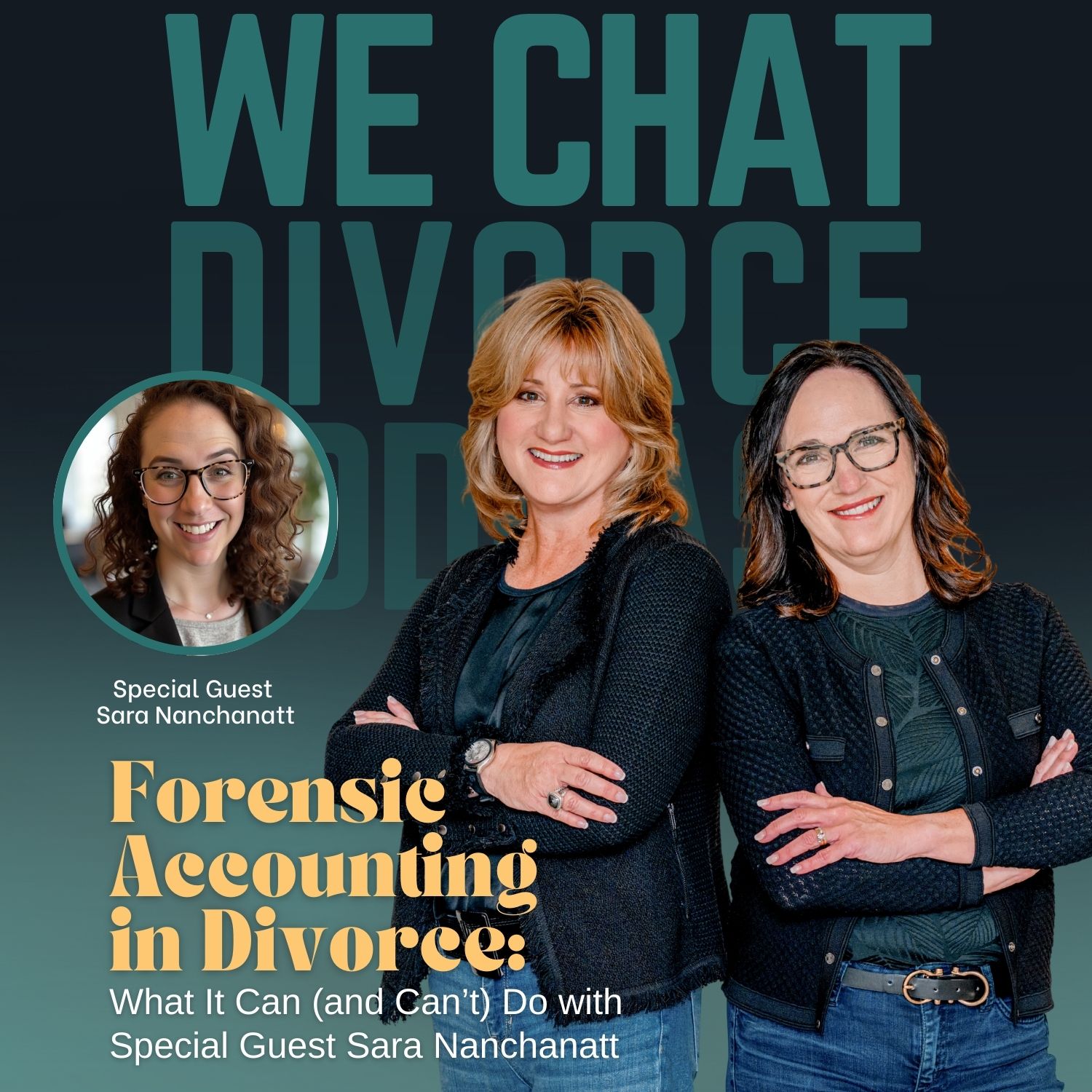 181. Forensic Accounting in Divorce: What It Can (and Can’t) Do, with Sarah Nanchanatt