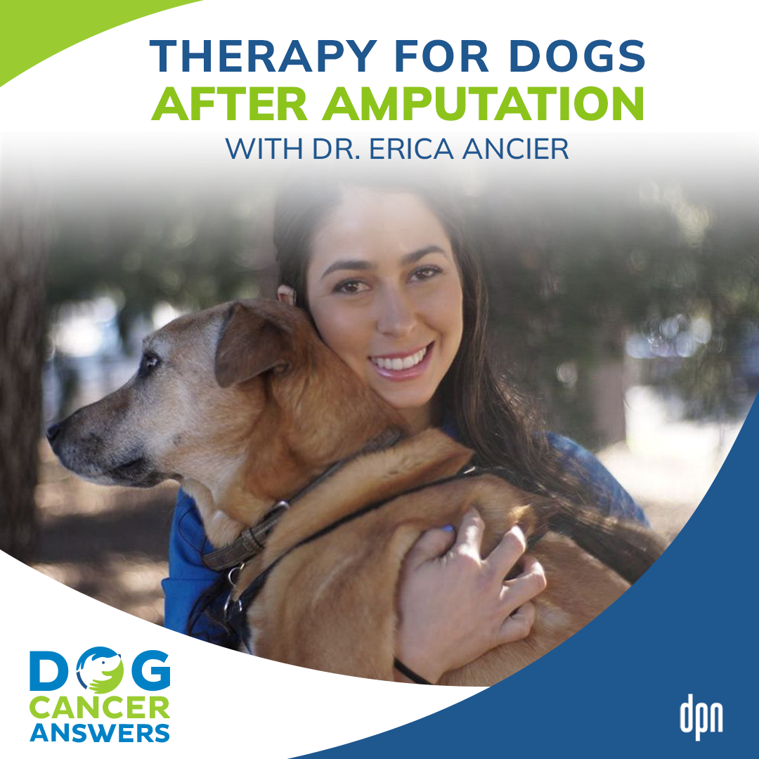 Therapy After Leg Amputation for Dog | Dr. Erica Ancier #73