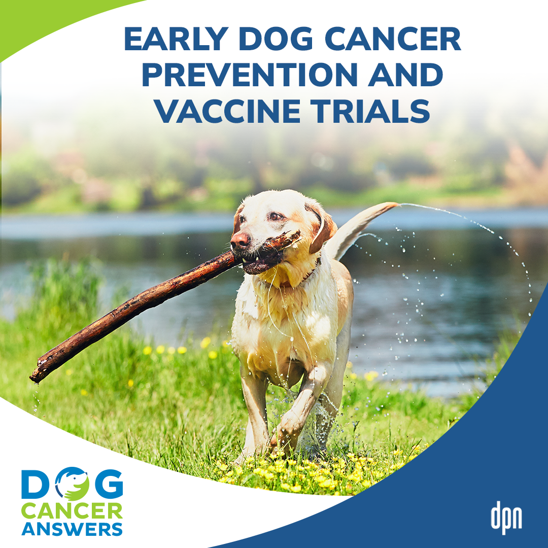 Early Dog Cancer Prevention and Vaccine Trials | Dr. Demian Dressler #72