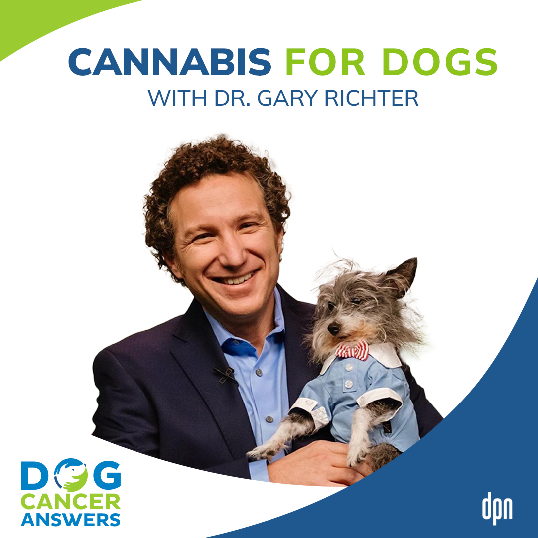 Cannabis for Dogs with Cancer | Dr. Gary Richter #70