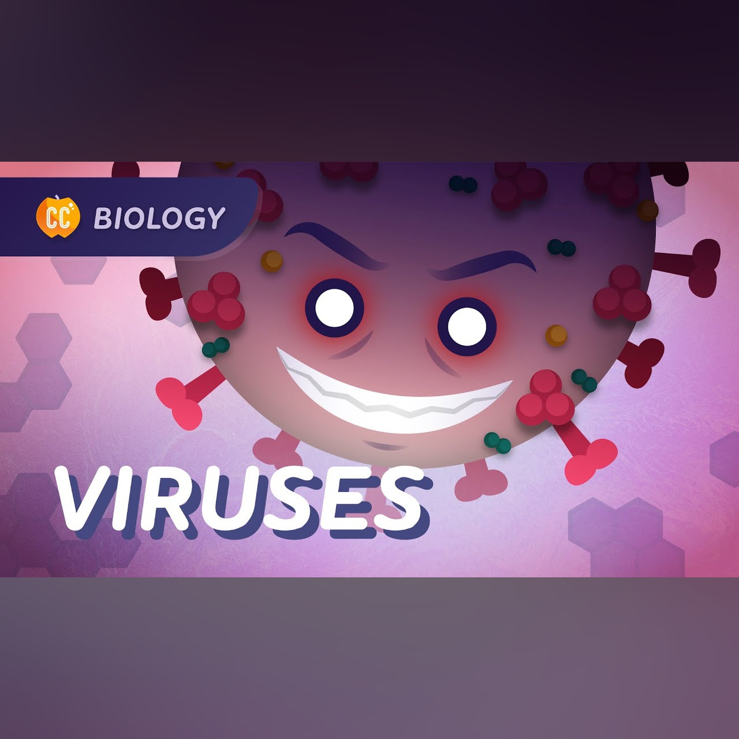 Viruses and Vaccines: How Do Vaccines Work?: Crash Course Biology 39
