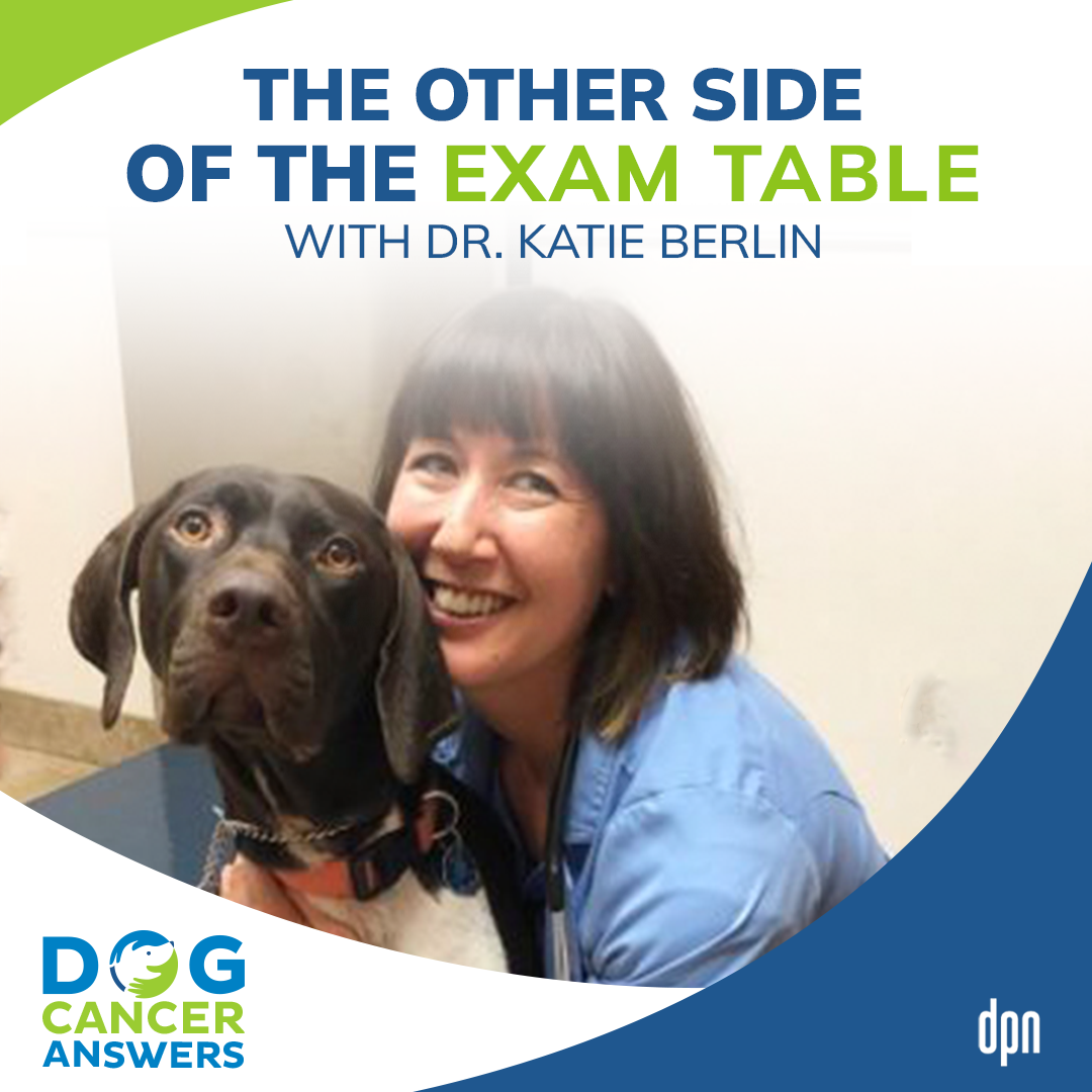The Other Side of the Exam Table | Dr. Katie Berlin #64