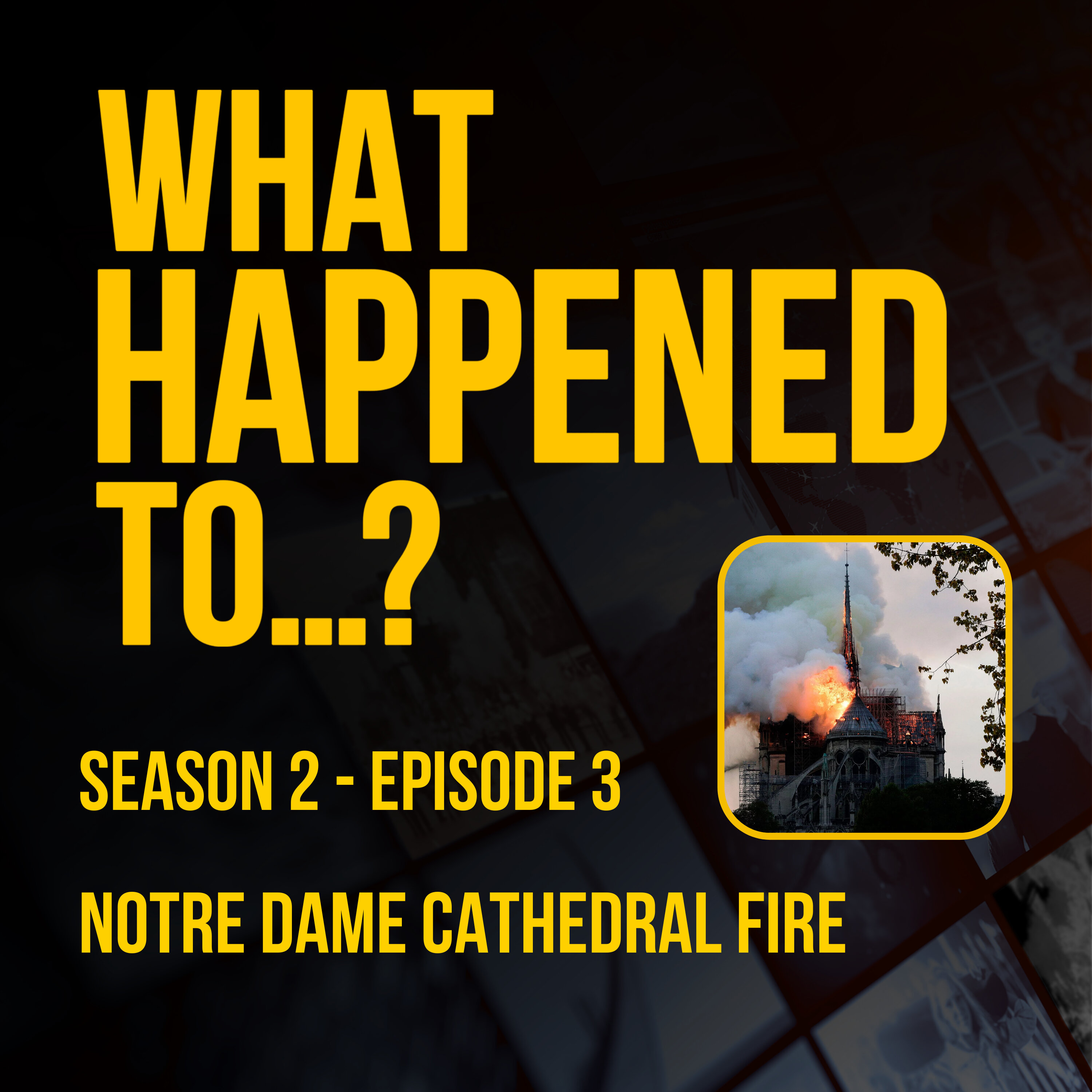 Notre Dame Cathedral  | 3