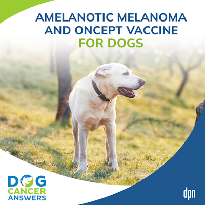 Canine 2024 melanoma vaccine