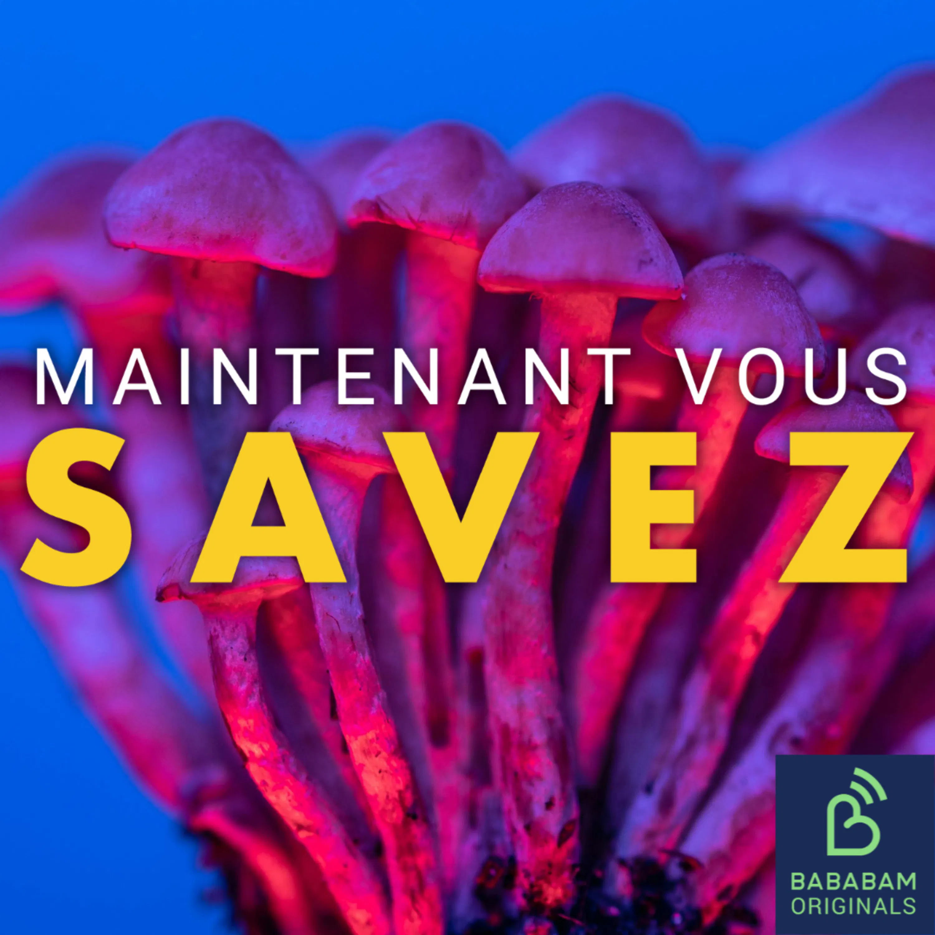 Thérapie psychédélique : pourra-t-on soigner avec des hallucinogènes ?
