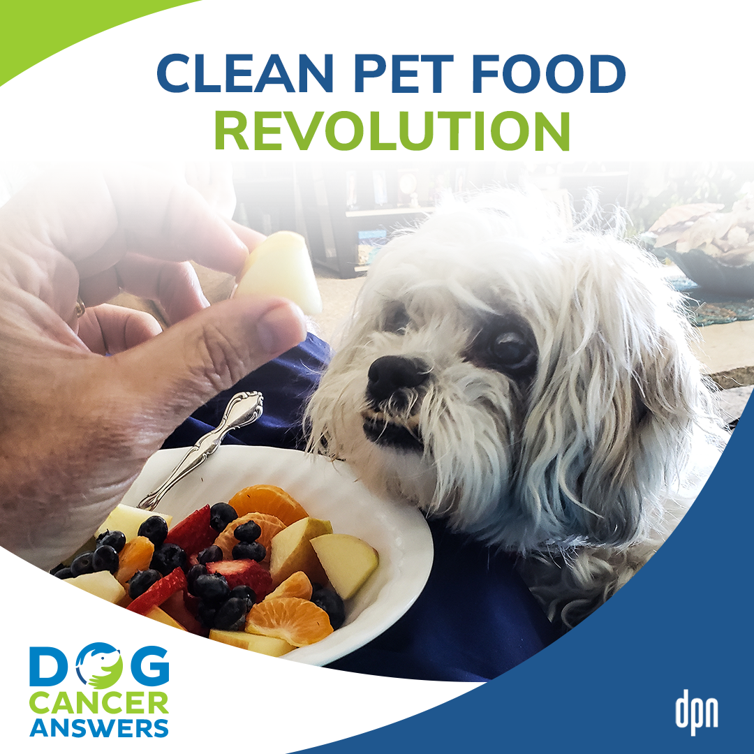 The Clean Pet Food Revolution | Dr. Ernie Ward #62