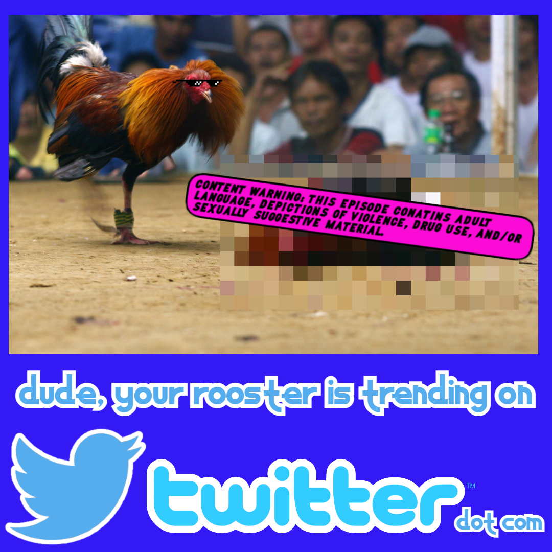 Dude, your Rooster is Trending on Twitter