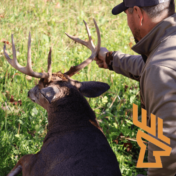 Whitetail Landscapes - EP212 Habitat Layout Rules, Escape Cover, Bedding, Deer Psychology