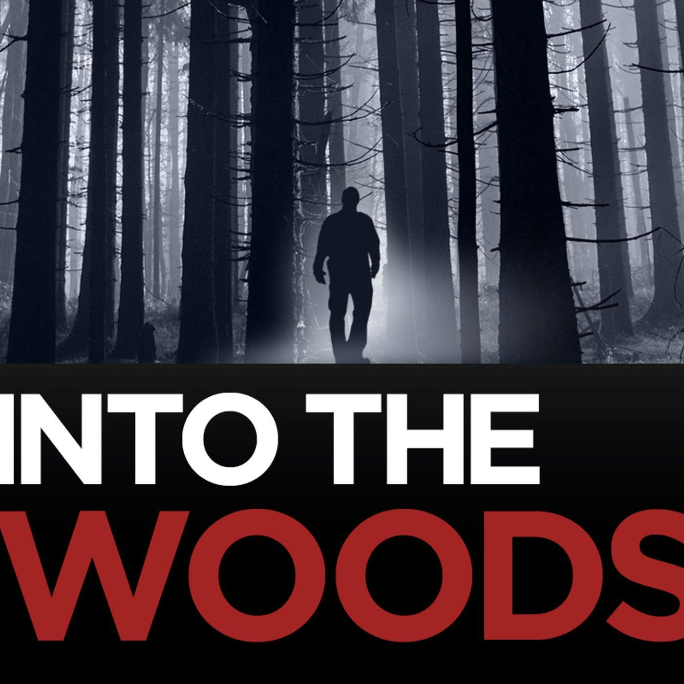 Missing Pieces: Into the Woods, Episode 5: No birds, no body