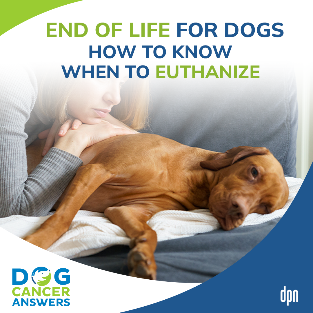 End of Life for Dogs - How to Know When to Euthanize │ Dr. Demian Dressler #57