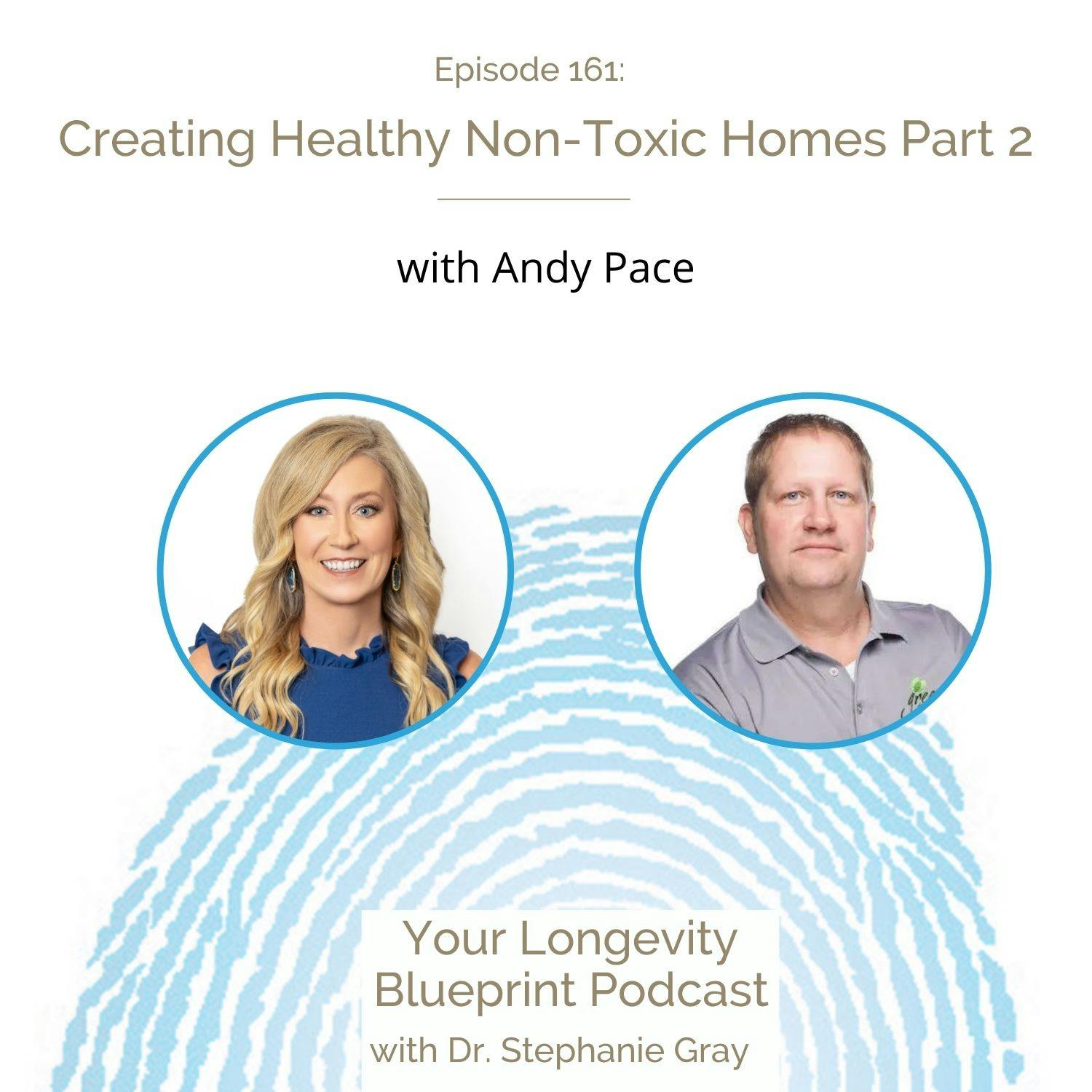 161: Creating Healthy Non-Toxic Homes Part 2 with Andy Pace