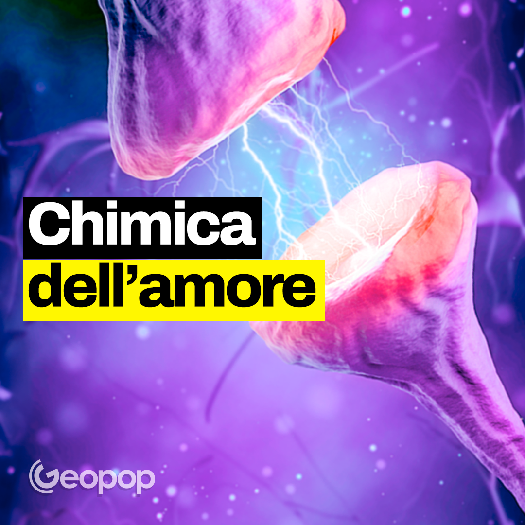 Cosa succede nel nostro cervello quando ci innamoriamo? La biochimica dell’amore