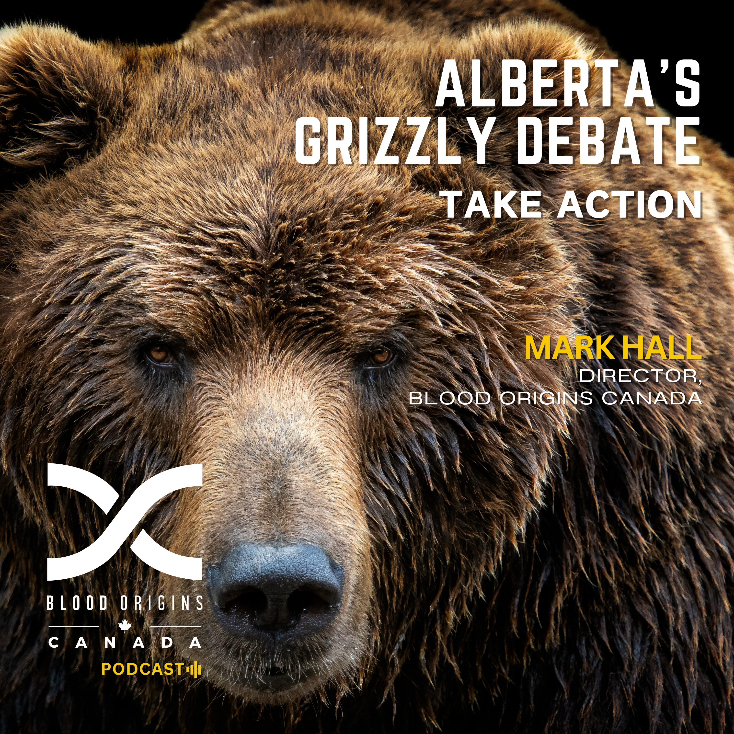 Alberta's Grizzly Debate - Take Action