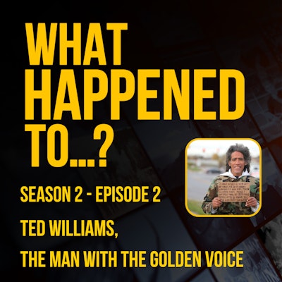 Ted Williams Golden Voice