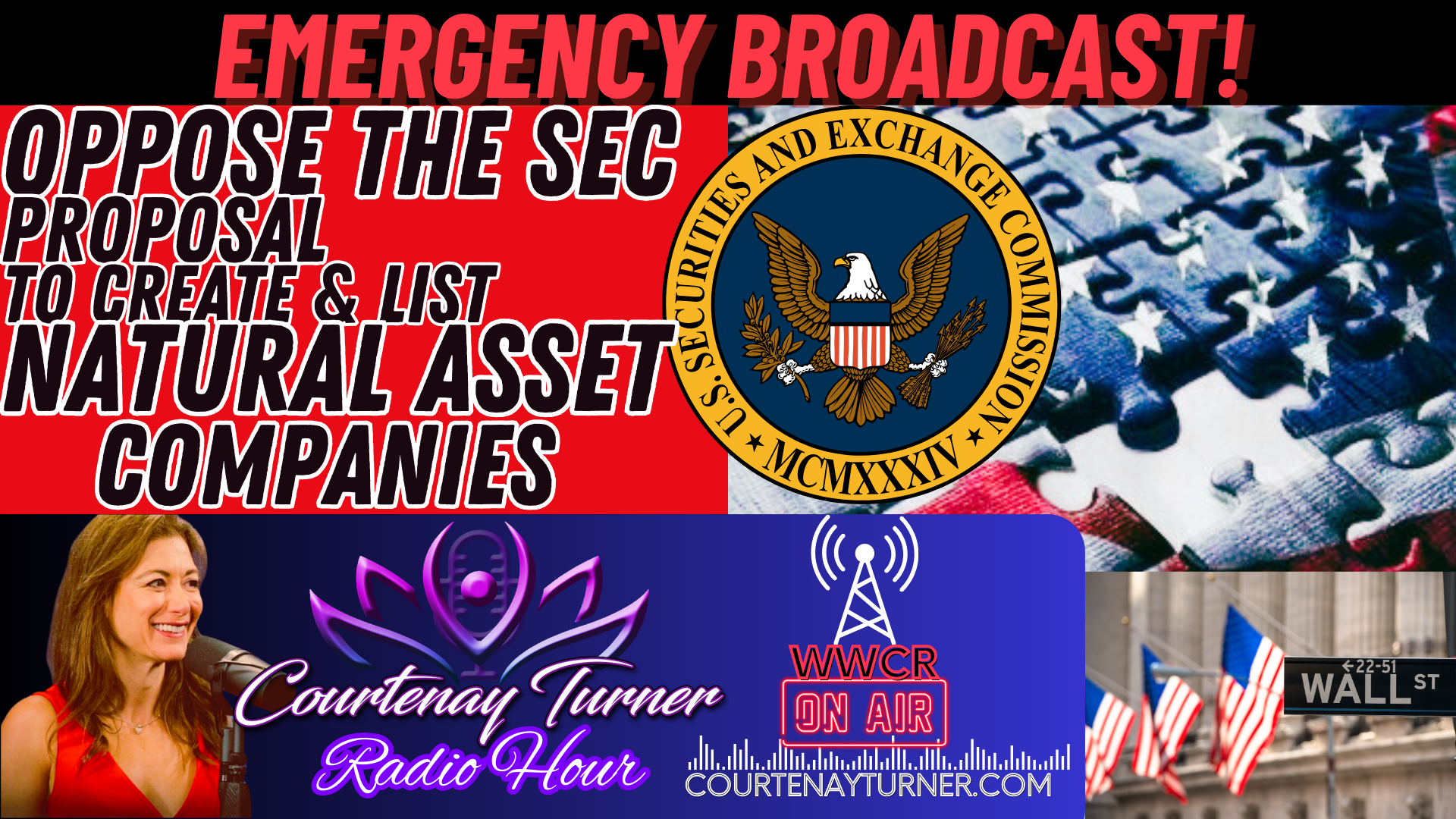 The Courtenay Turner Podcast