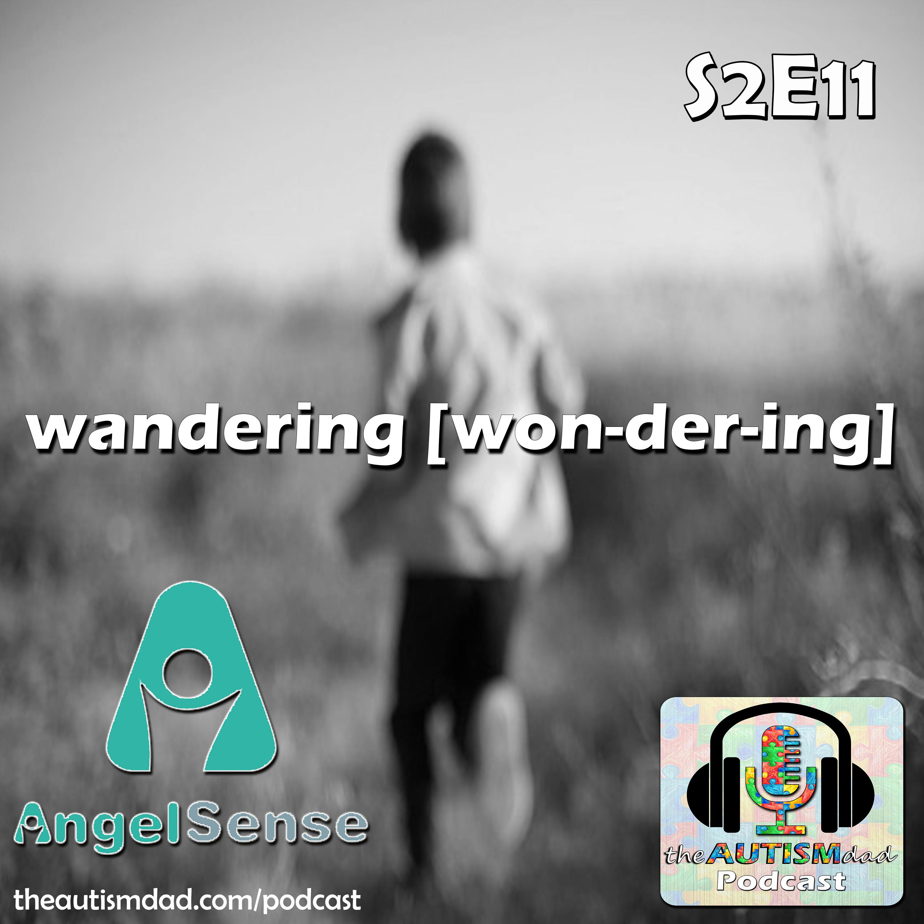 Autism and Wandering (feat. Sidra Collins) S2E11 Image