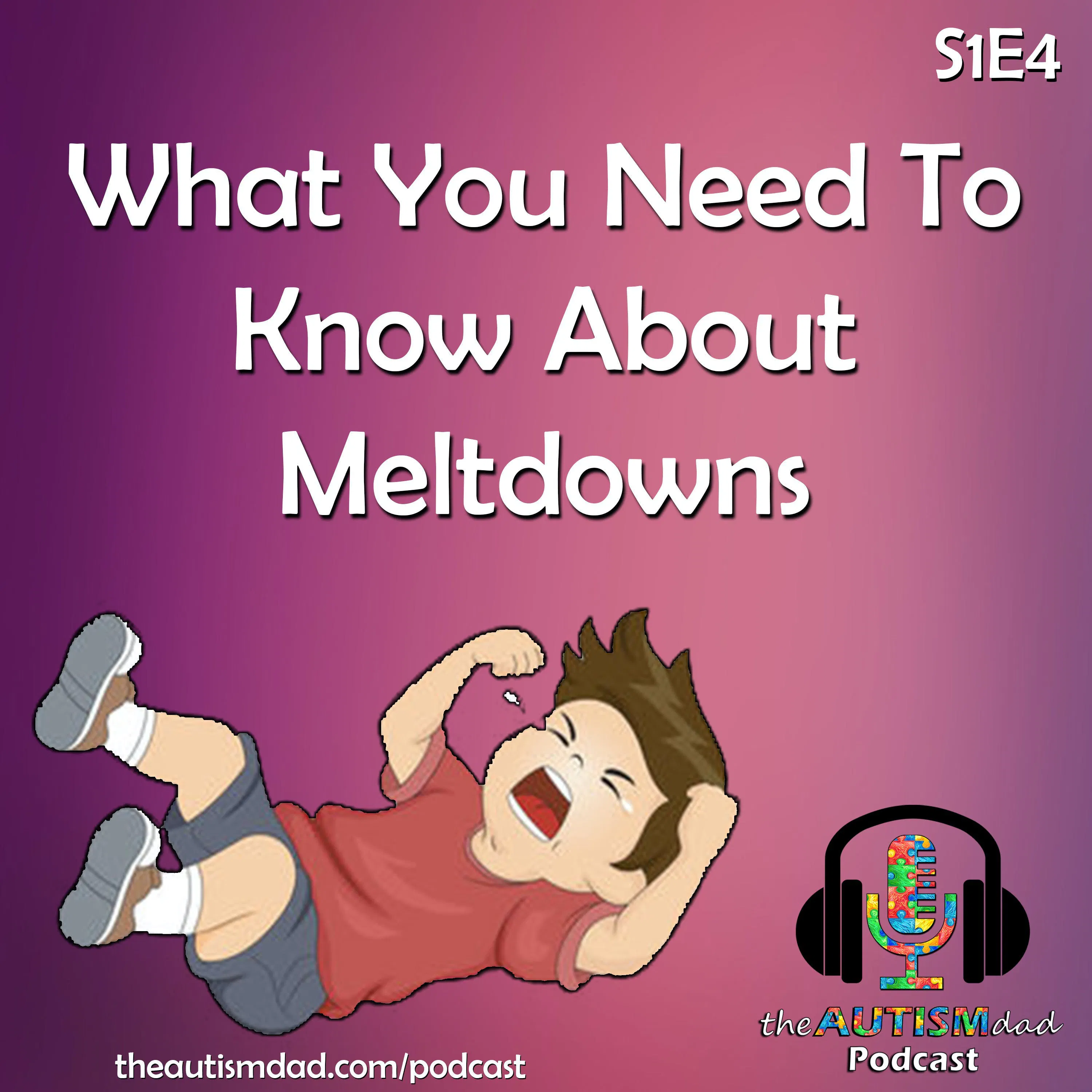 What You Need To Know About Meltdowns (S1E4)