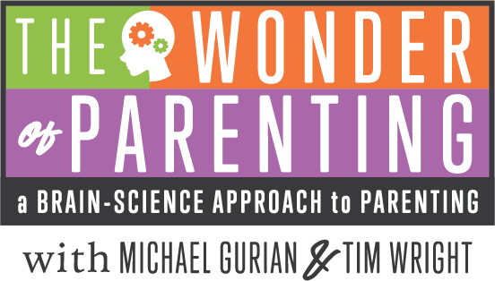 What do Social Constructs Have to do with Parenting? What do Social Constructs Have to do with Parenting?