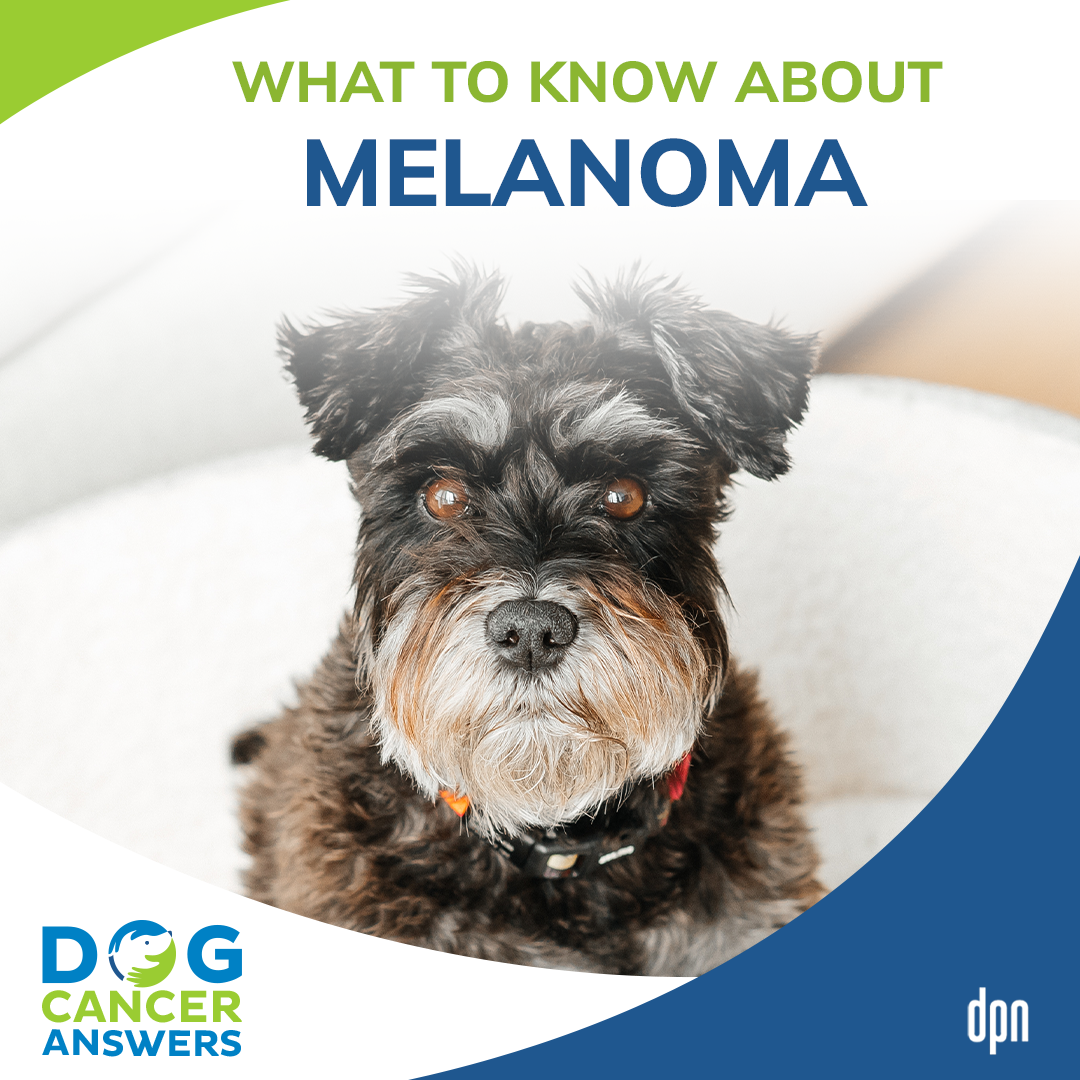 What to Know About Melanoma #40