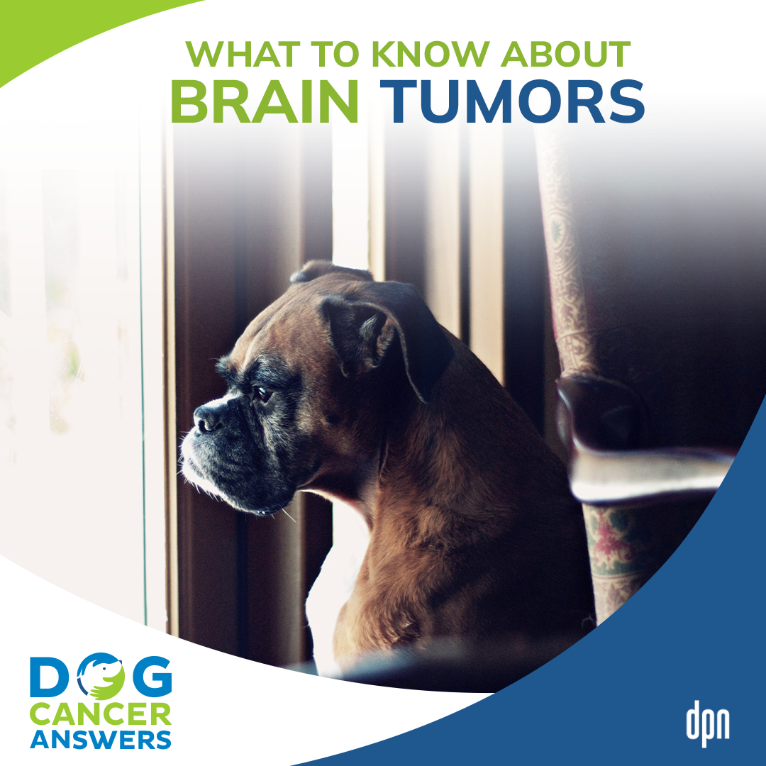 What to Know About Brain Tumors #38