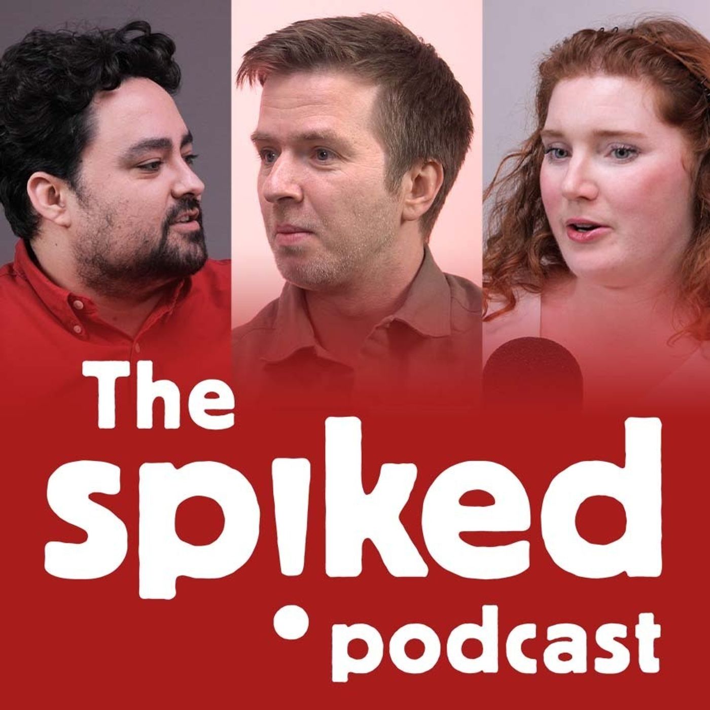 What is the point of Rishi Sunak?