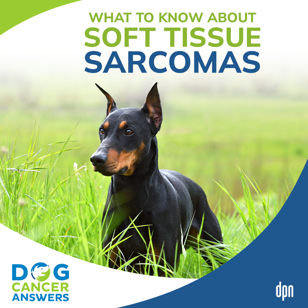 What to Know About Soft Tissue Sarcomas #37