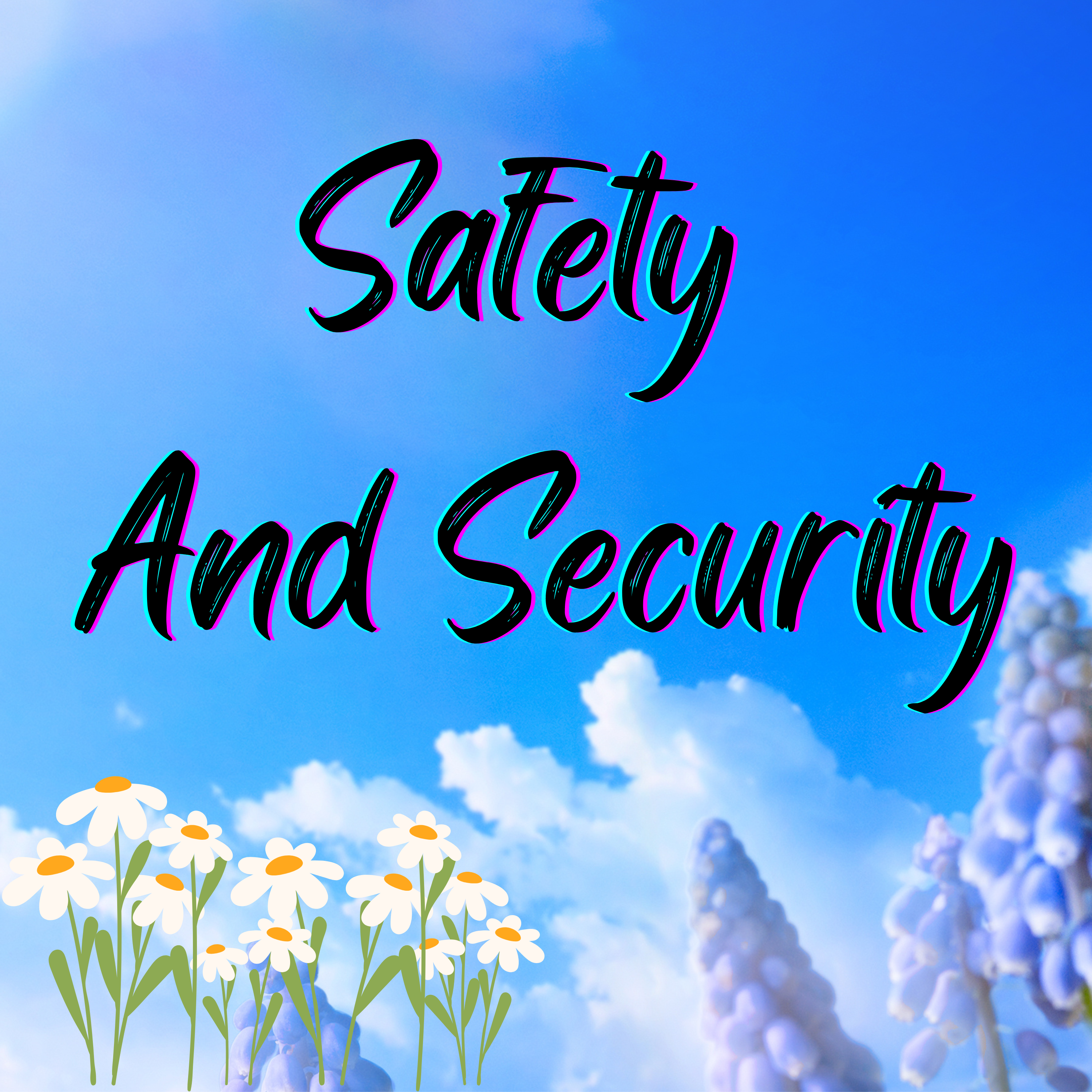Safety and Security