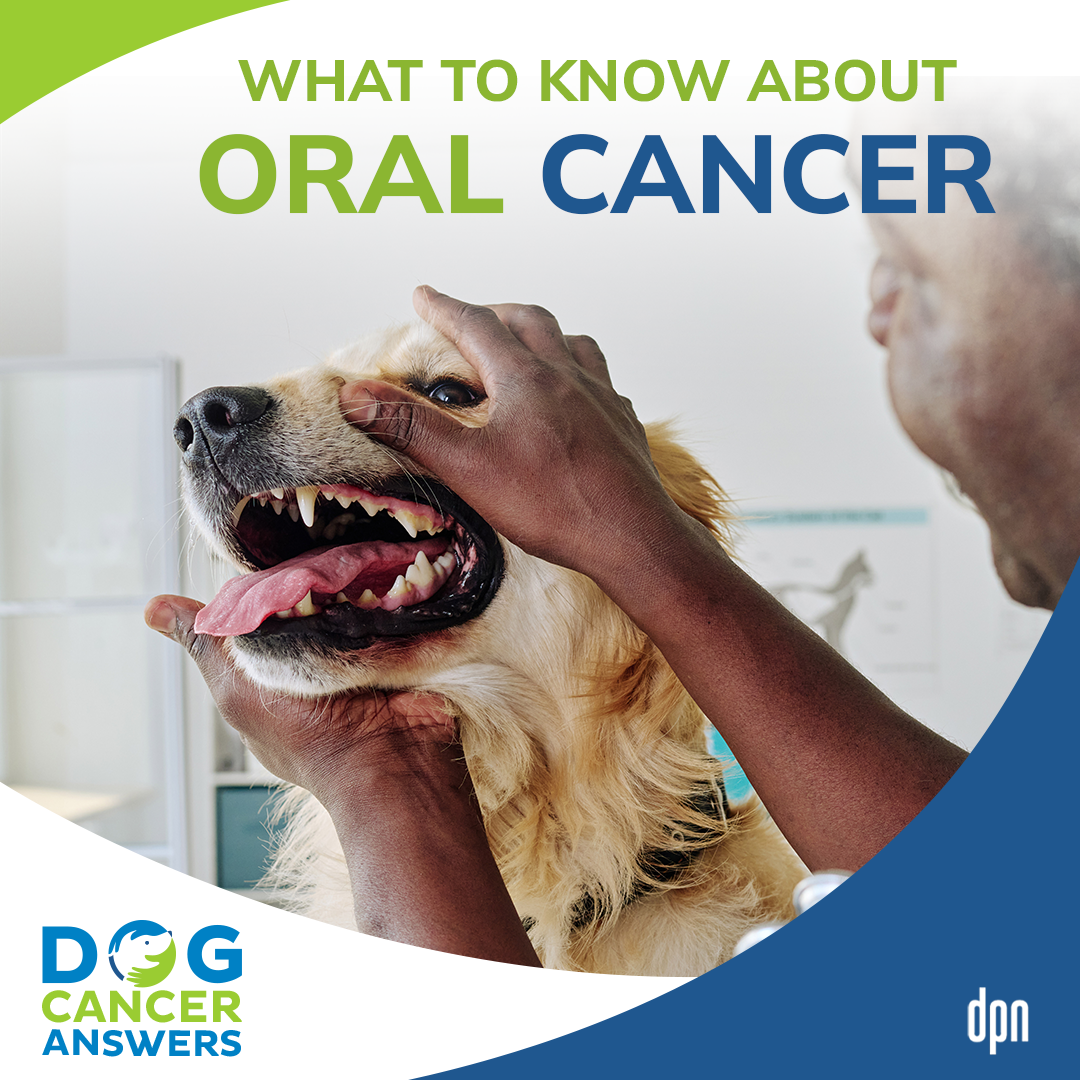 What to Know About Oral Cancers #35