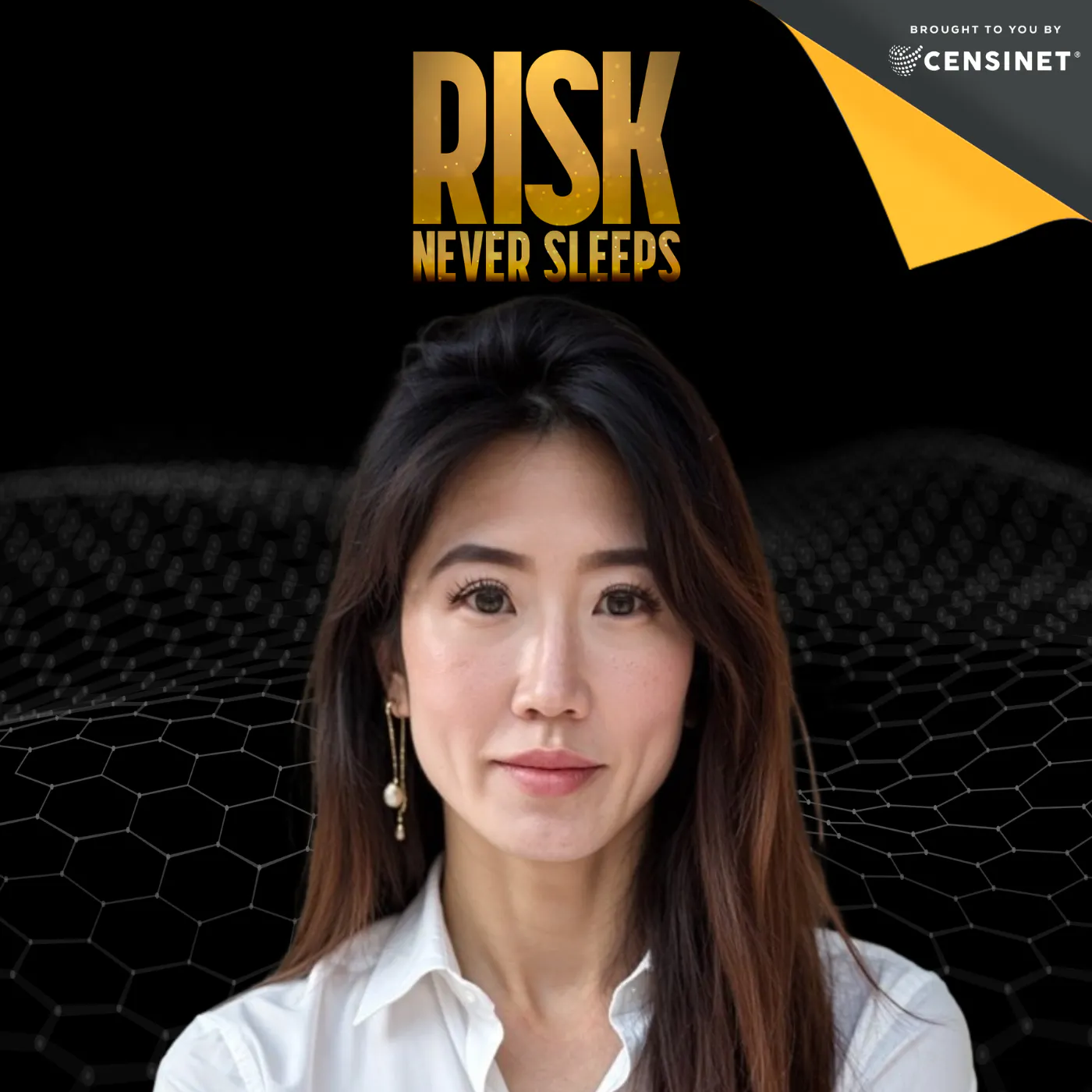 Episode #185. The Hidden Risks Of AI Adoption That Leaders Must Tackle ,with Joyce Oh, Chief Information and Digital Transformation Officer — Risk Never Sleeps Podcast cover