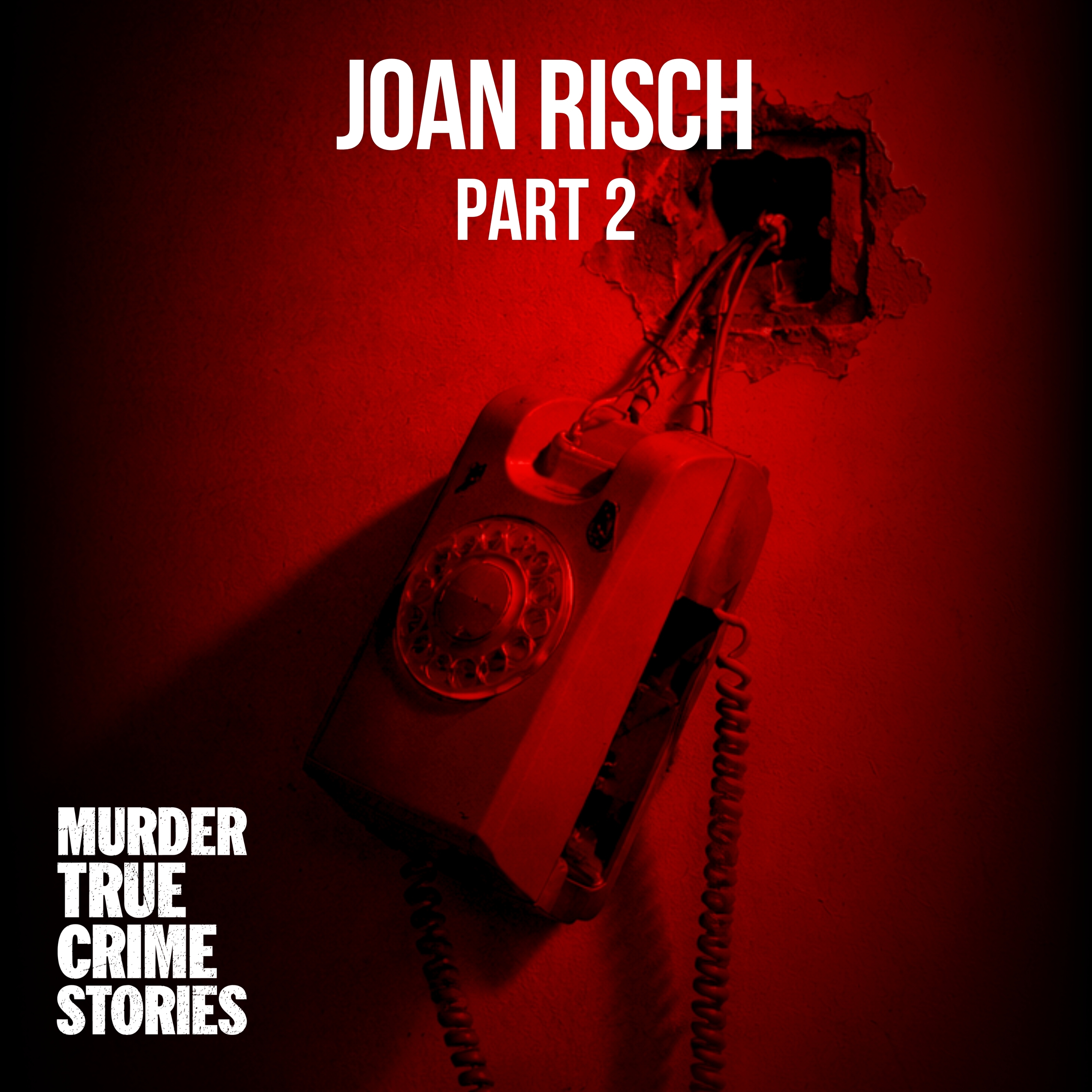UNSOLVED: The Joan Risch Case 2, Abduction or Escape?