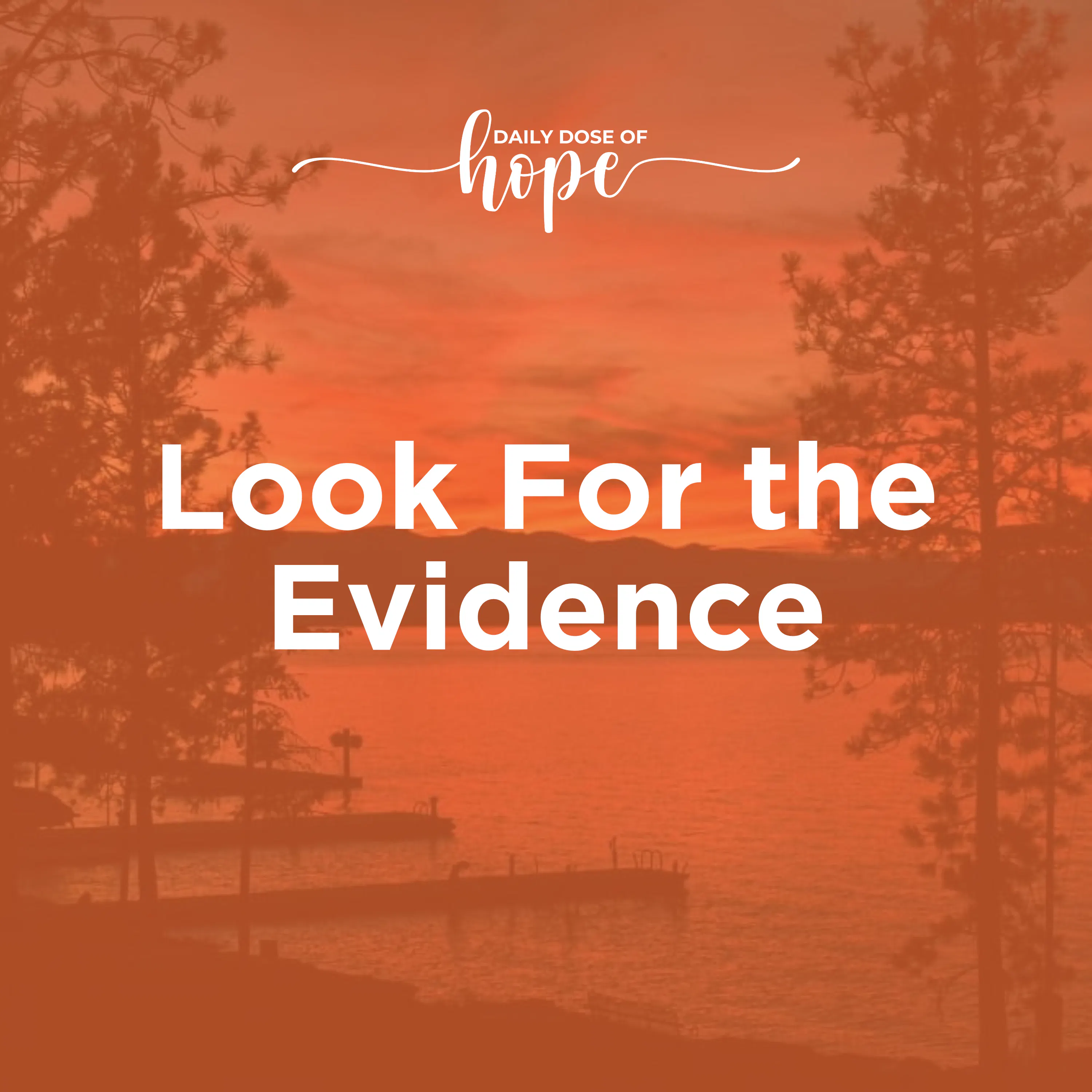 Look for the Evidence EP 377 episode artwork