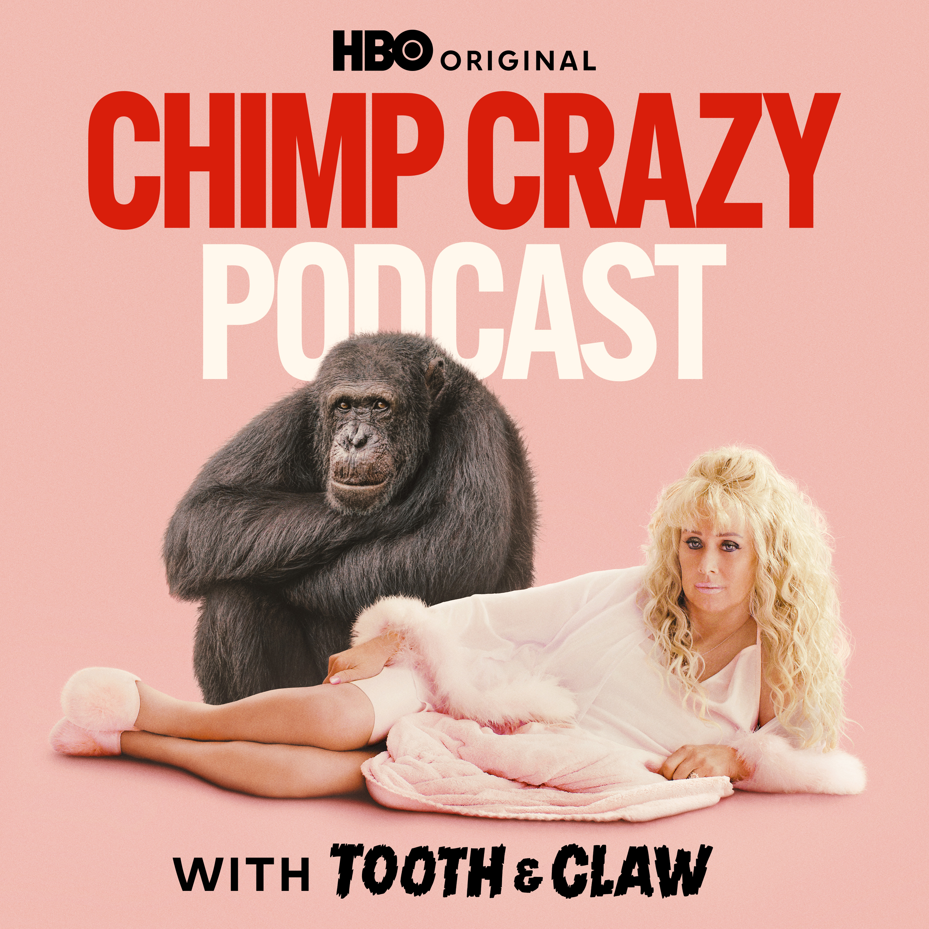 The Official Chimp Crazy Podcast: Episode One