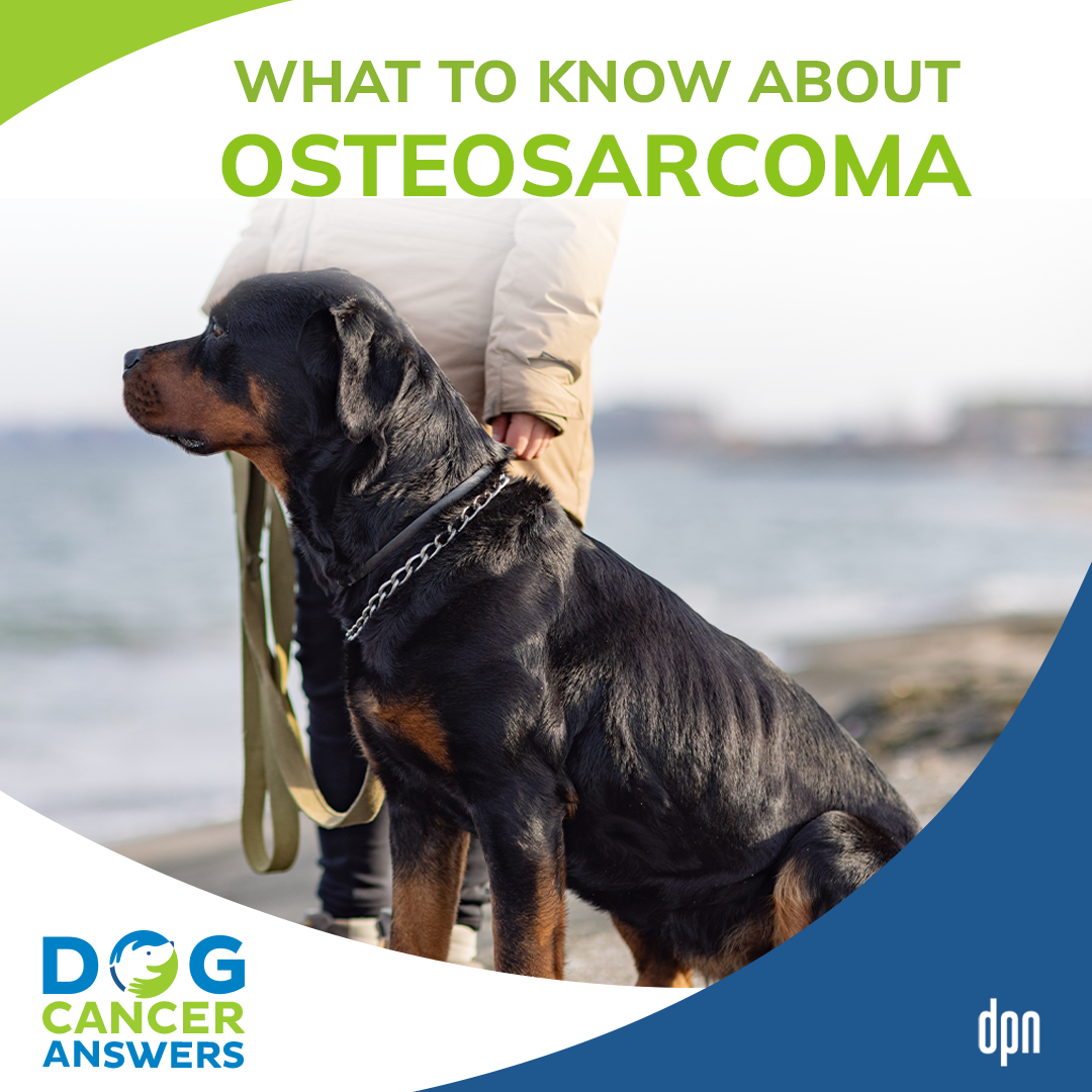 What to Know About Osteosarcoma #32