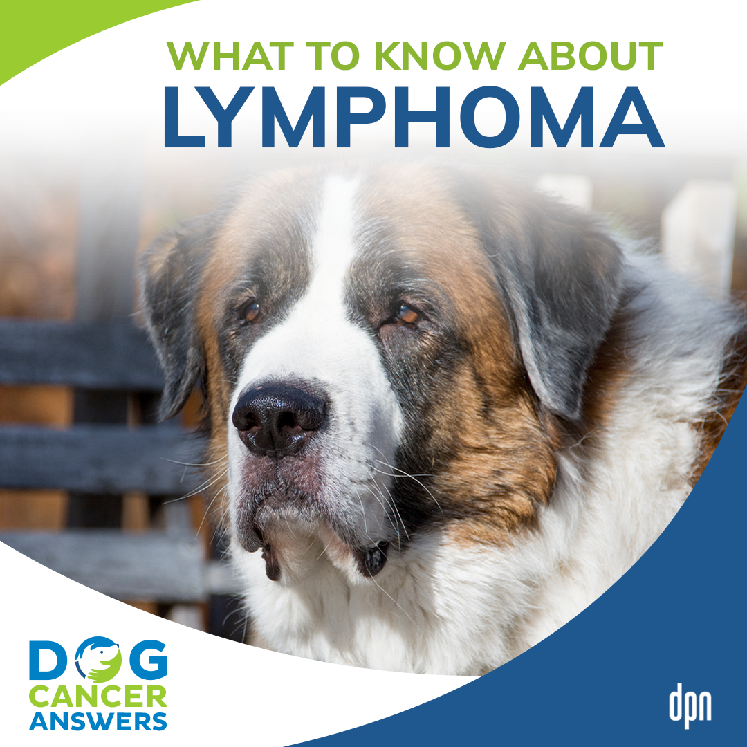 What to Know About Lymphoma #29