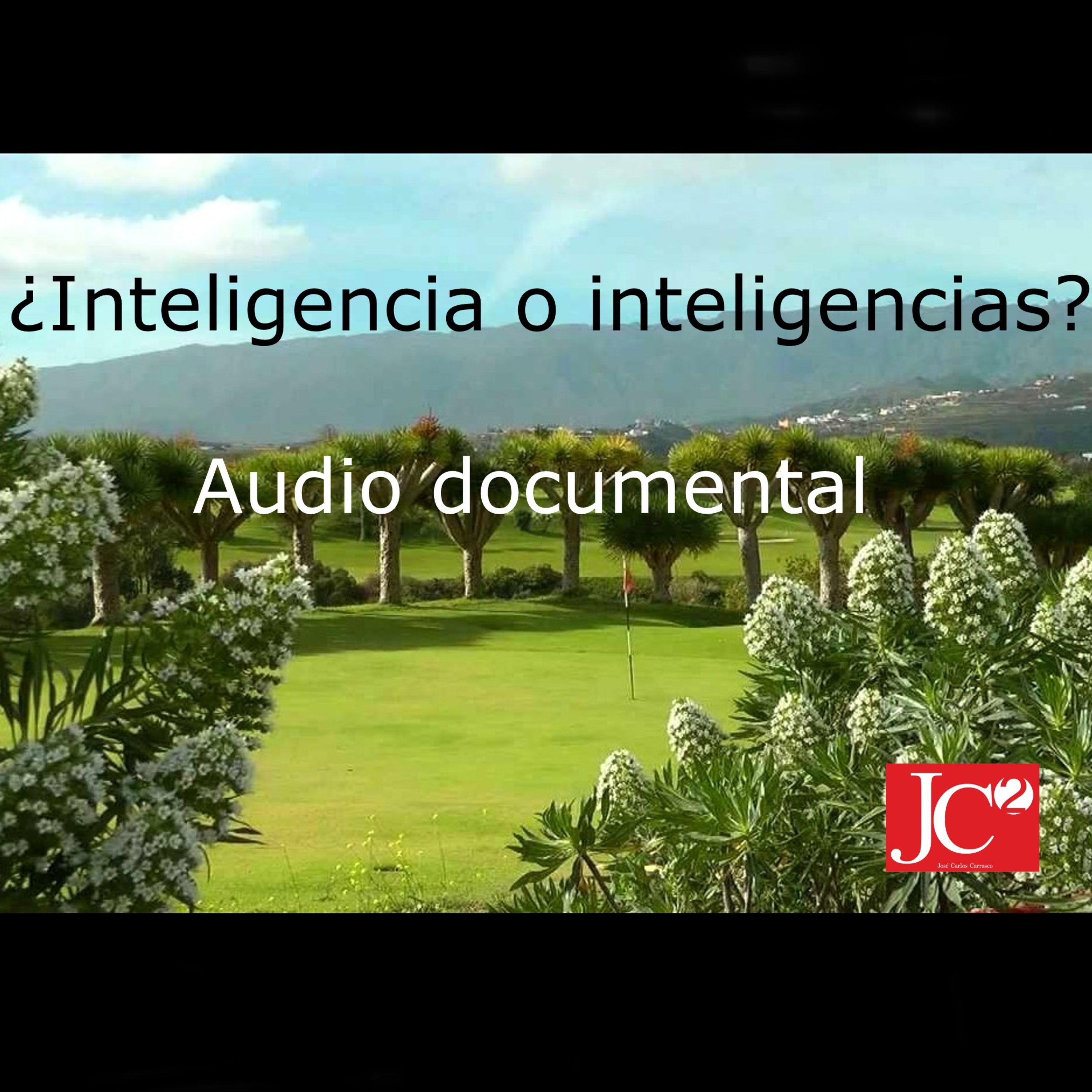 ¿INTELIGENCIA O INTELIGENCIAS? Audio documental episode artwork