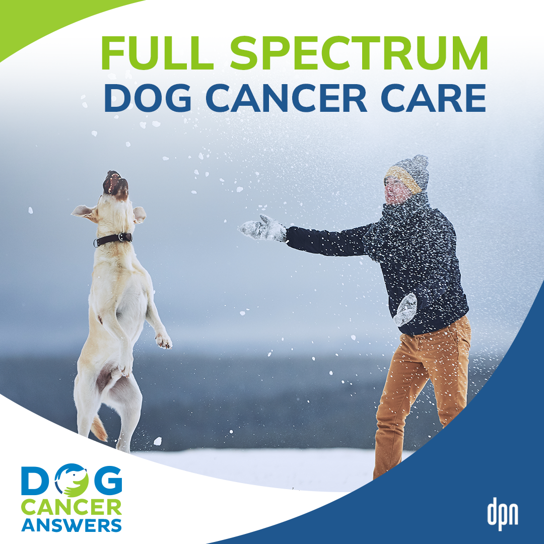 Full Spectrum Dog Cancer Care #26