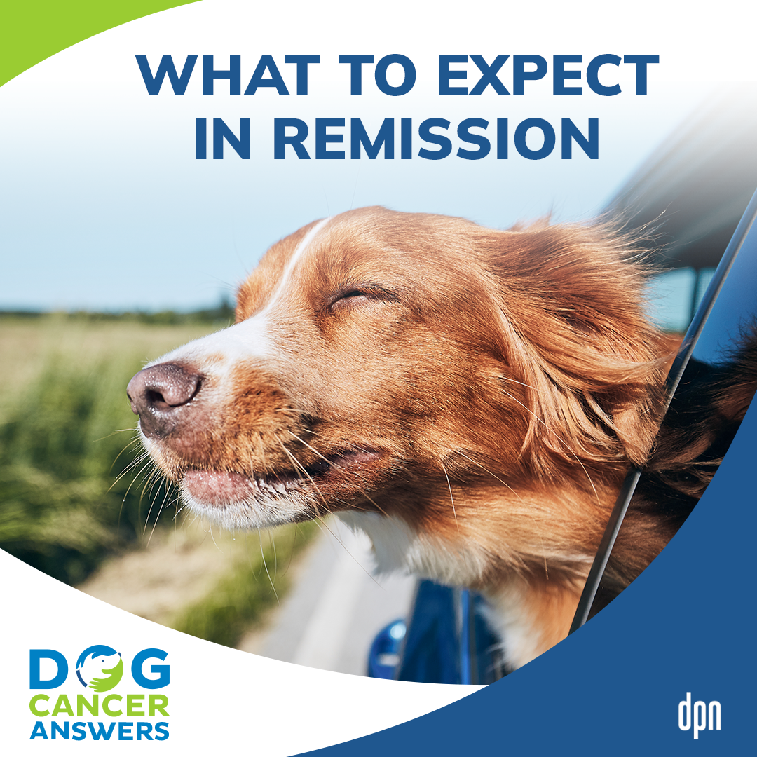 What to Expect in Remission #25