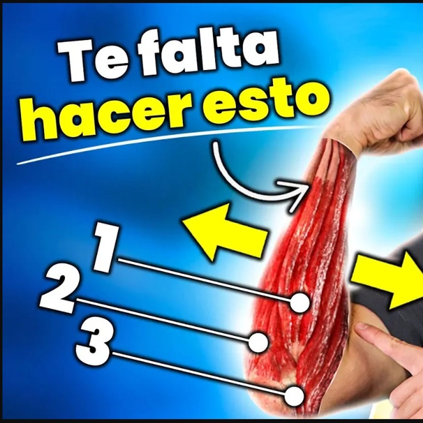 Portada de Dr. Borja Bandera