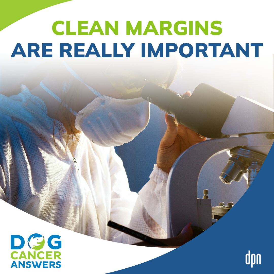 Clean Margins Are Really Important #24