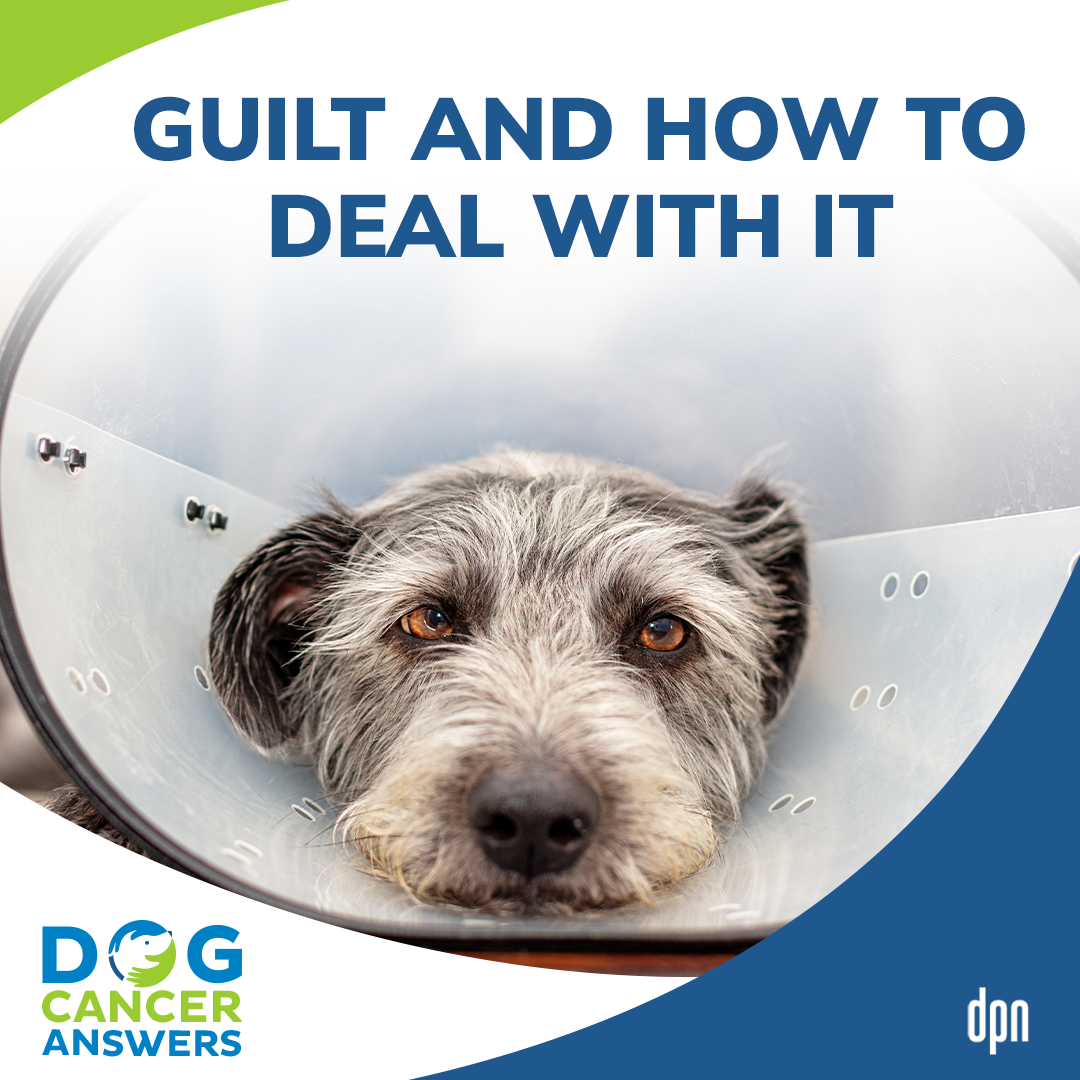 Guilt and How to Deal with It #18