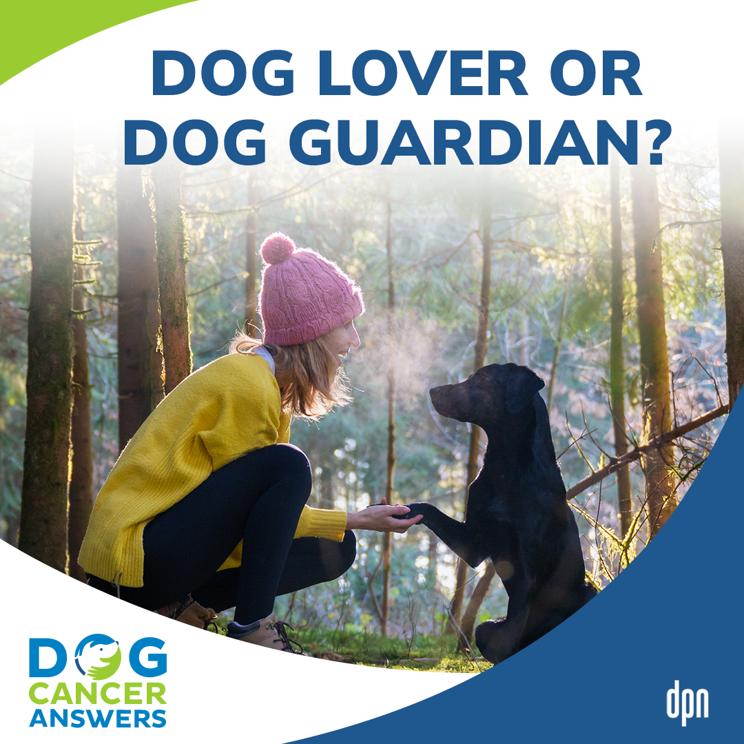 Dog Lover or Dog Guardian? #17