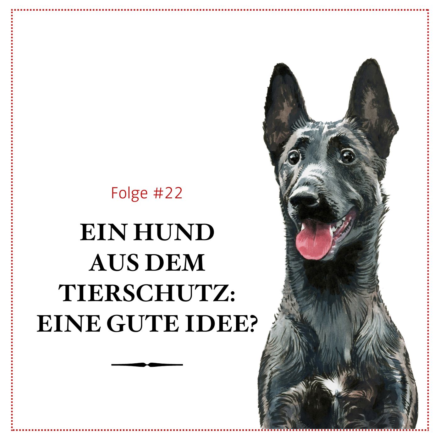 Ein Hund aus dem Tierschutz: Eine gute Idee? – #22