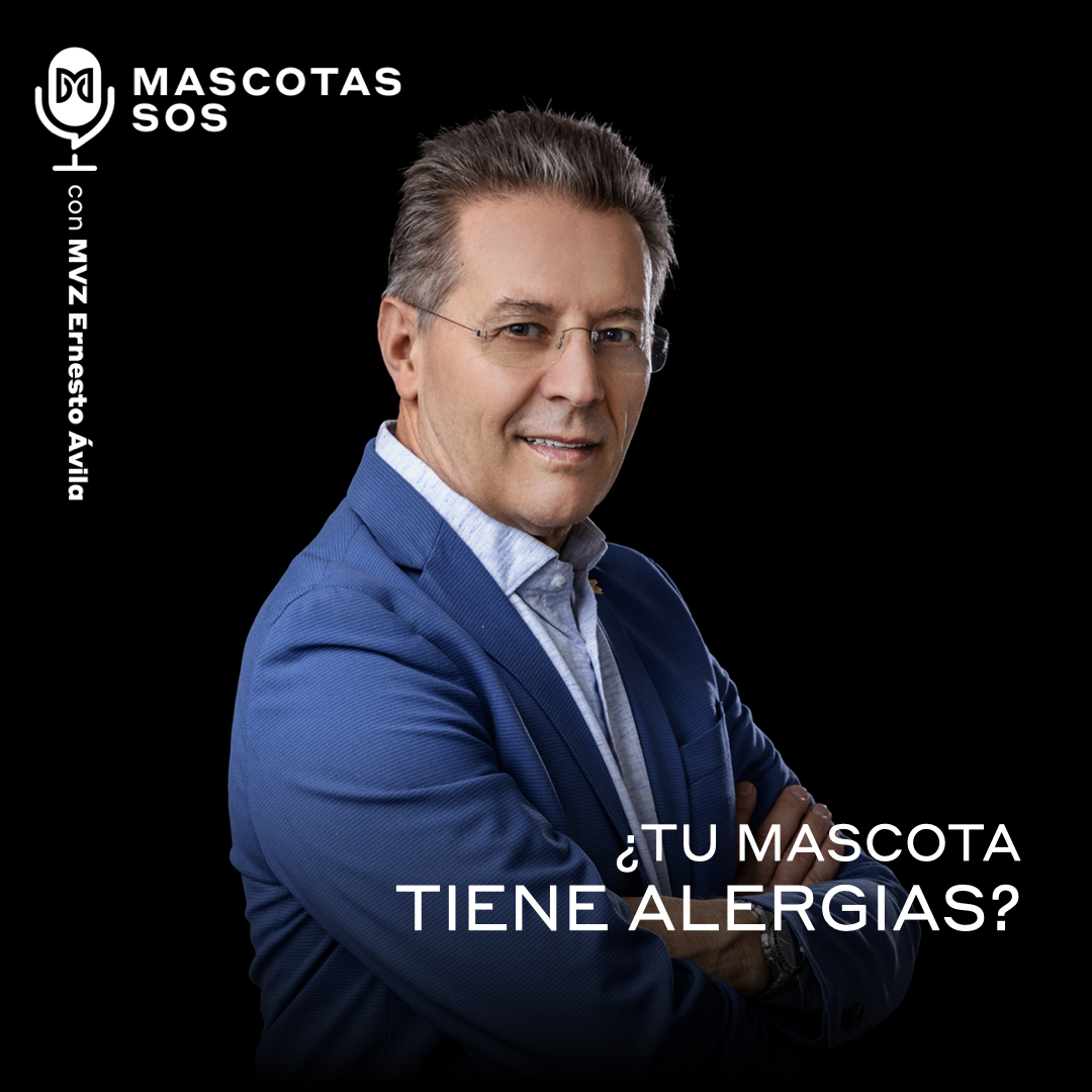 ¿Tu mascota tiene alergias?